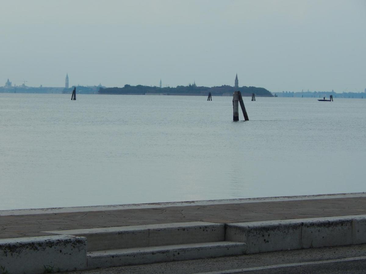 Ada Venezia